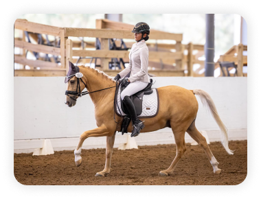 A person riding on the back of a horse.