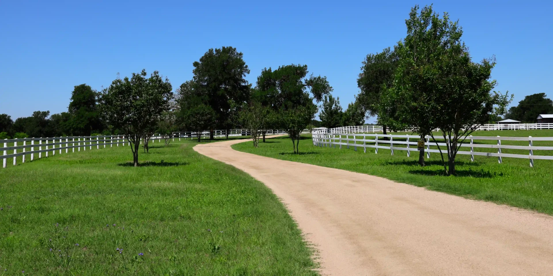 White fence, tree-lined gravel driveway.