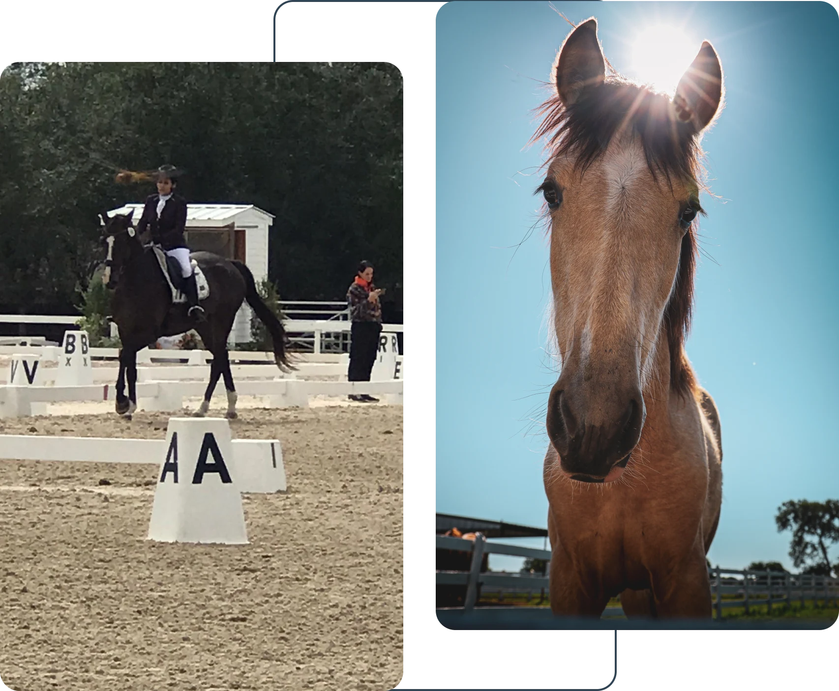 A horse is standing in the dirt and another horse is looking at something.