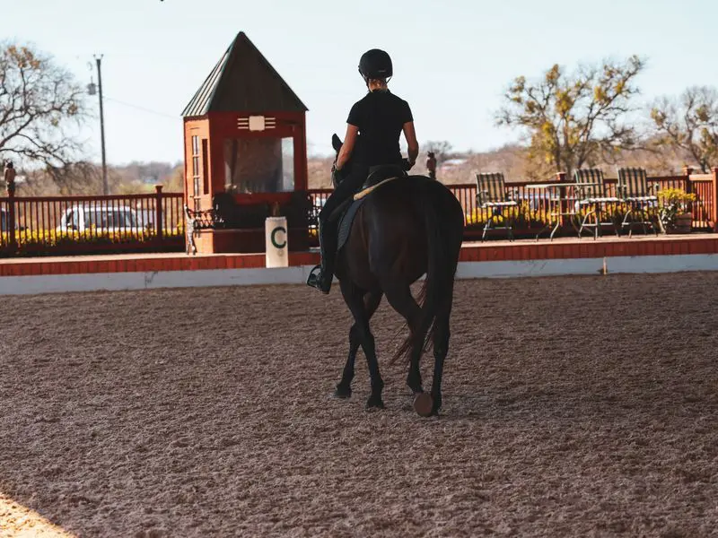 A person riding on the back of a horse.