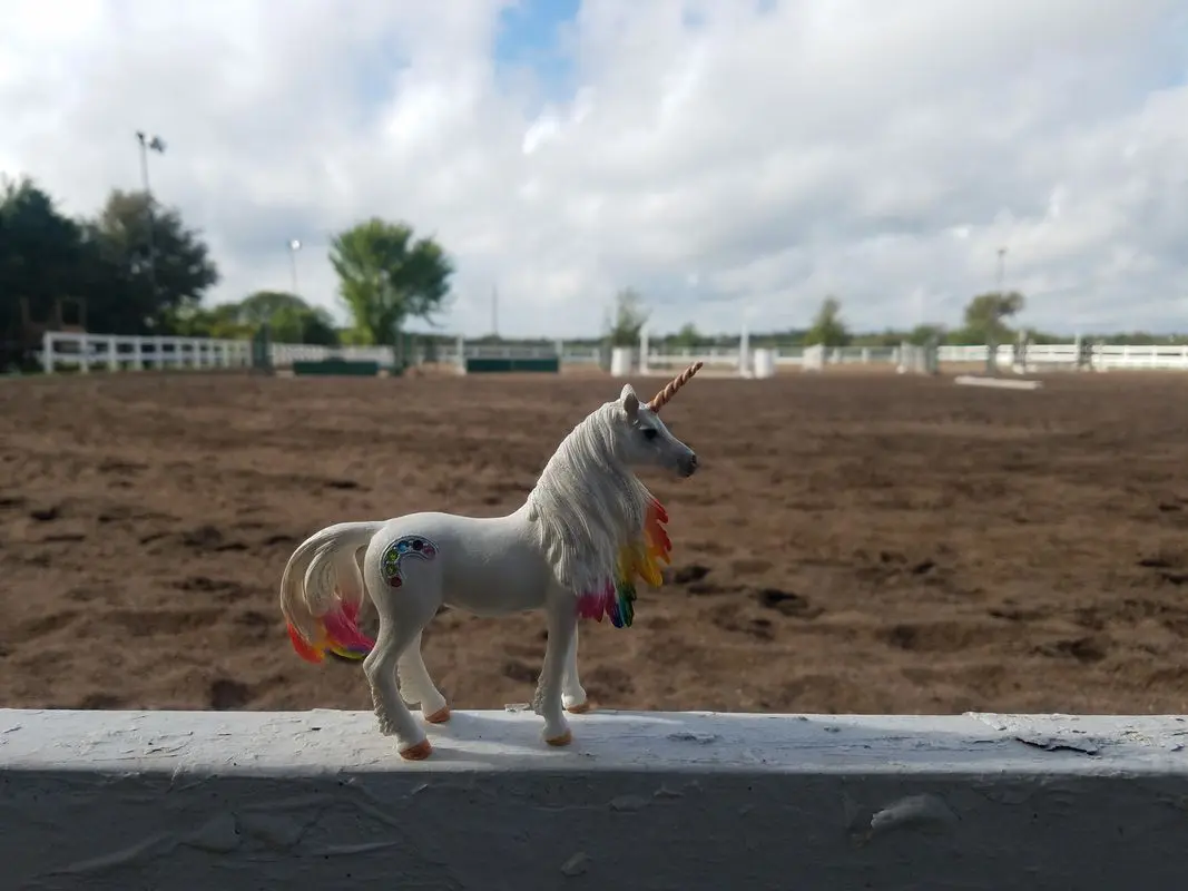 A white horse standing on top of a concrete wall.