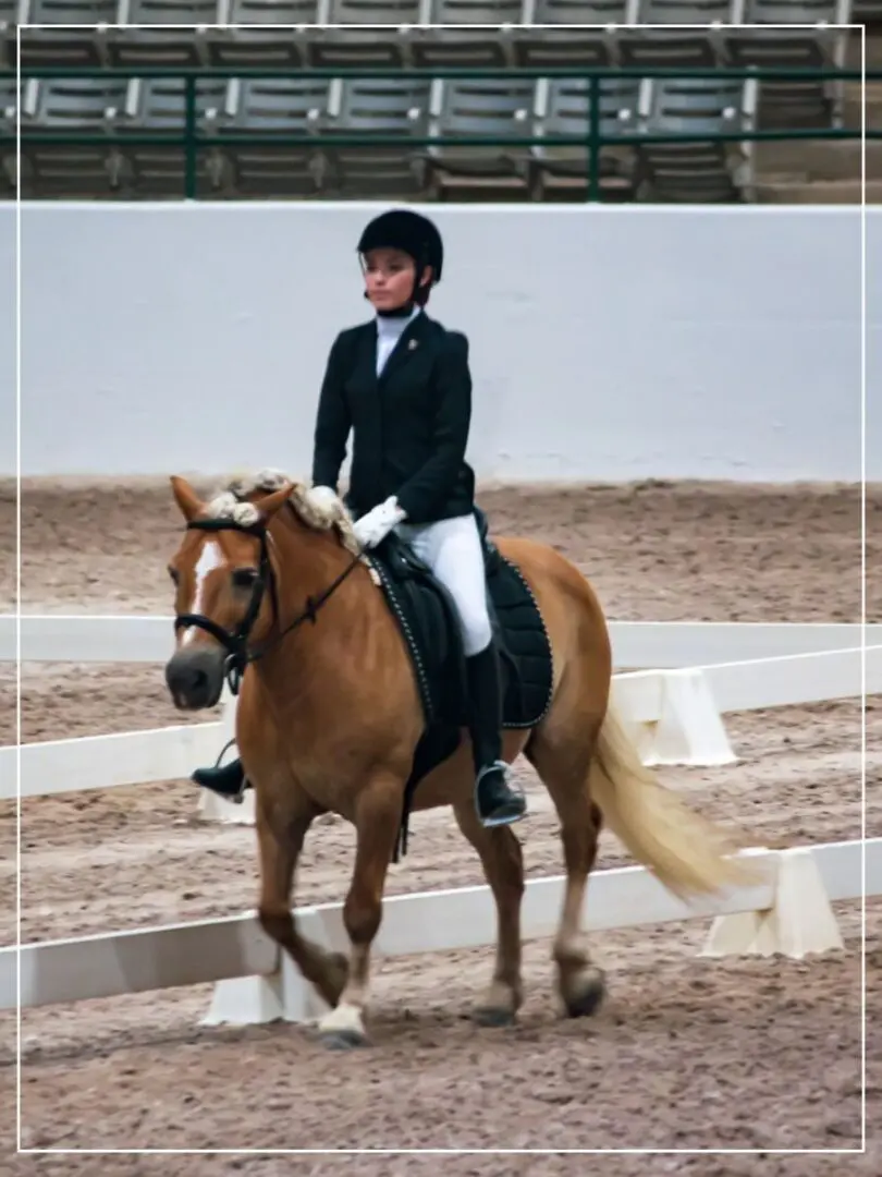 A young girl riding on the back of a horse.