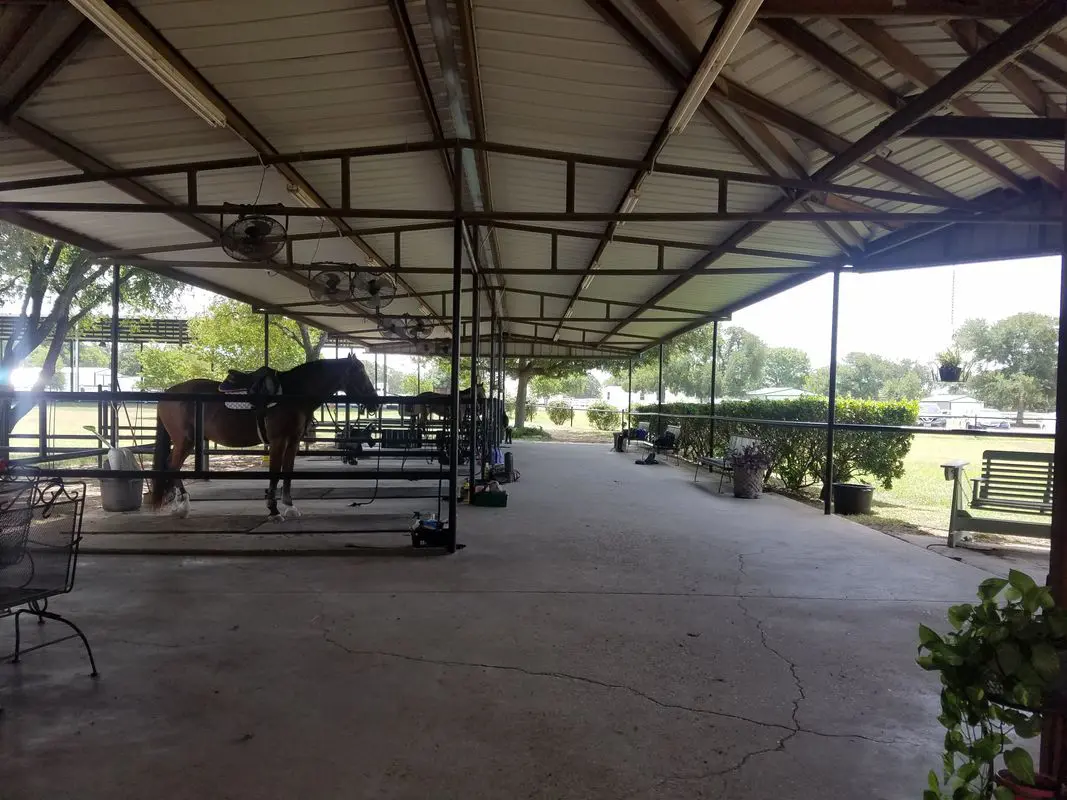 A horse is standing in the middle of an indoor arena.