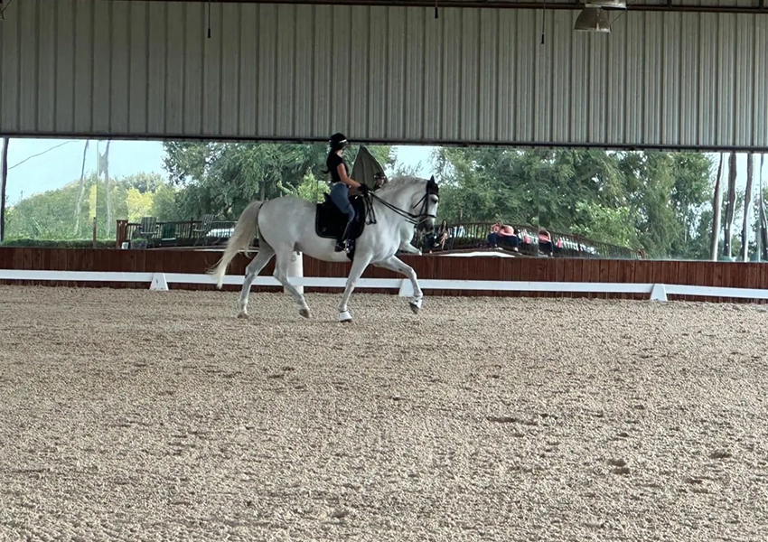 White Fences Equestrian Center.