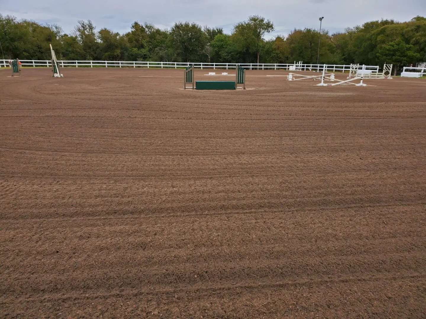 A horse is standing in the middle of an arena.