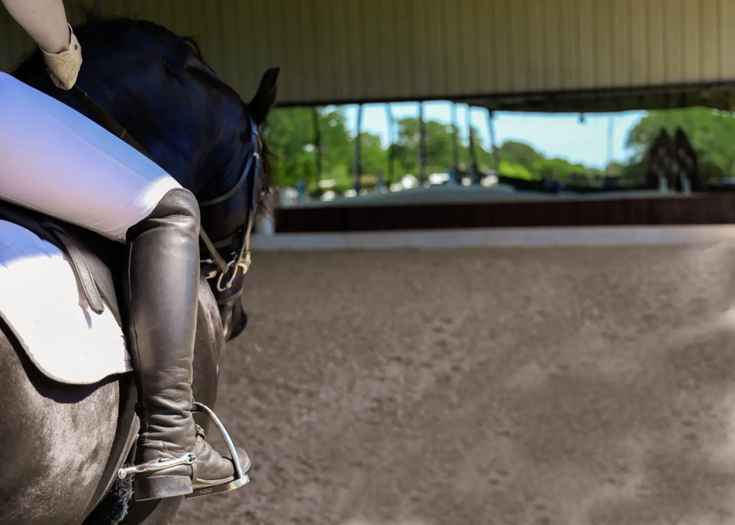 A person riding on the back of a horse.