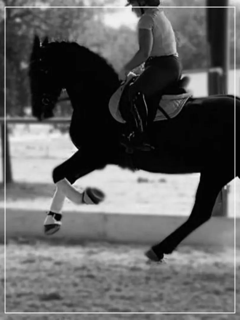 A person riding on the back of a horse.