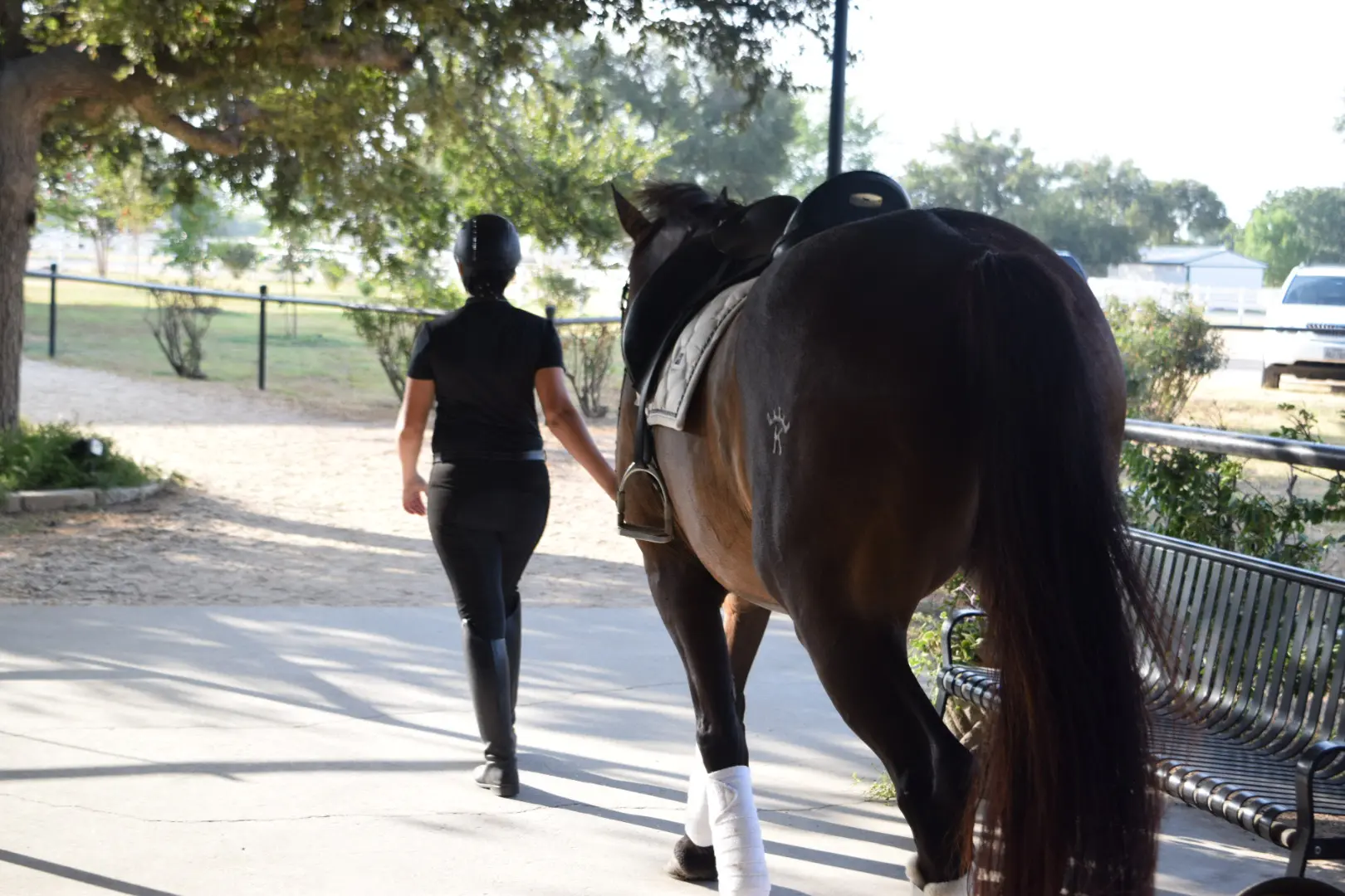 A woman walking her horse down the street.