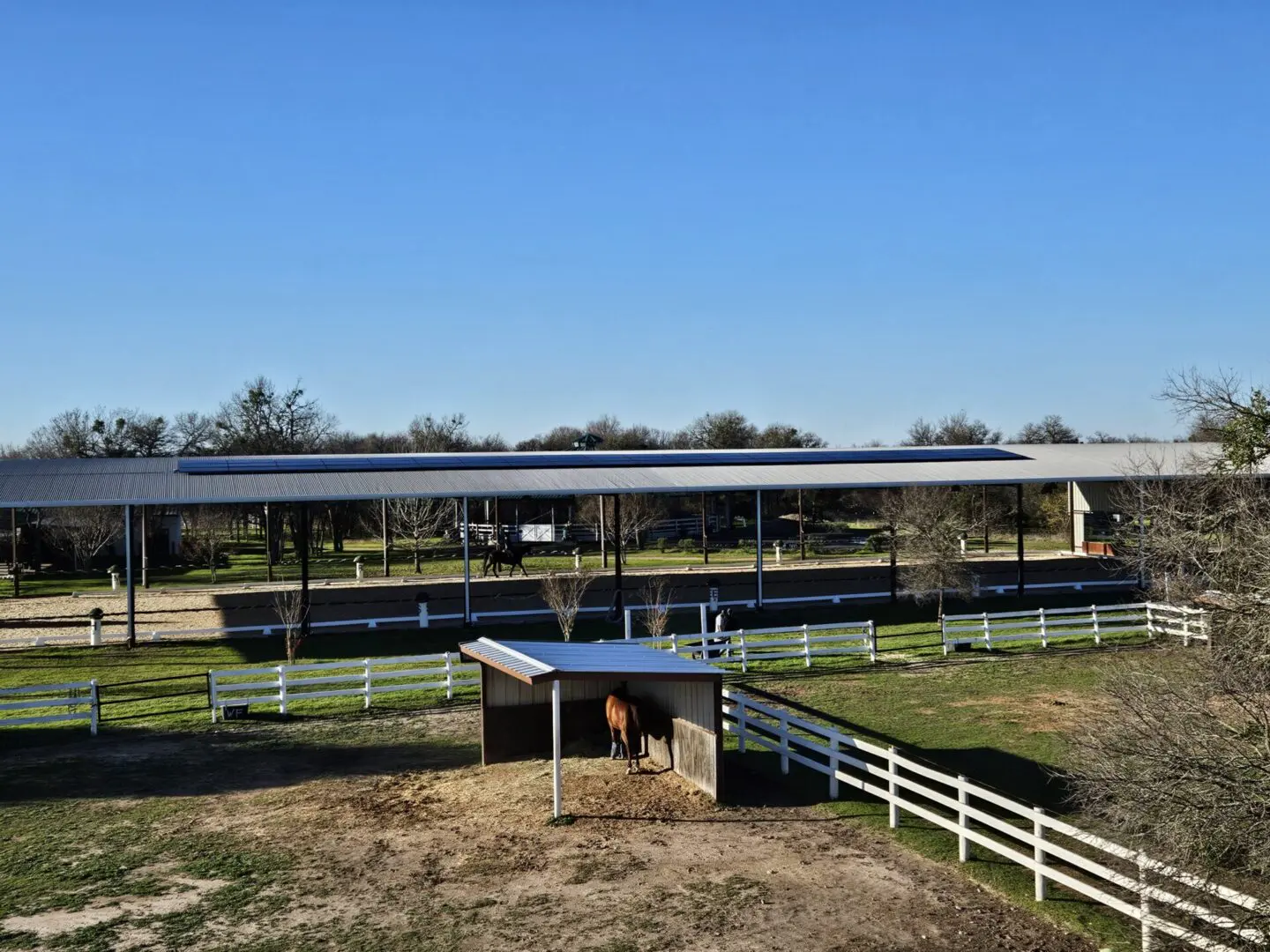 A horse is standing in the shade of an enclosure.