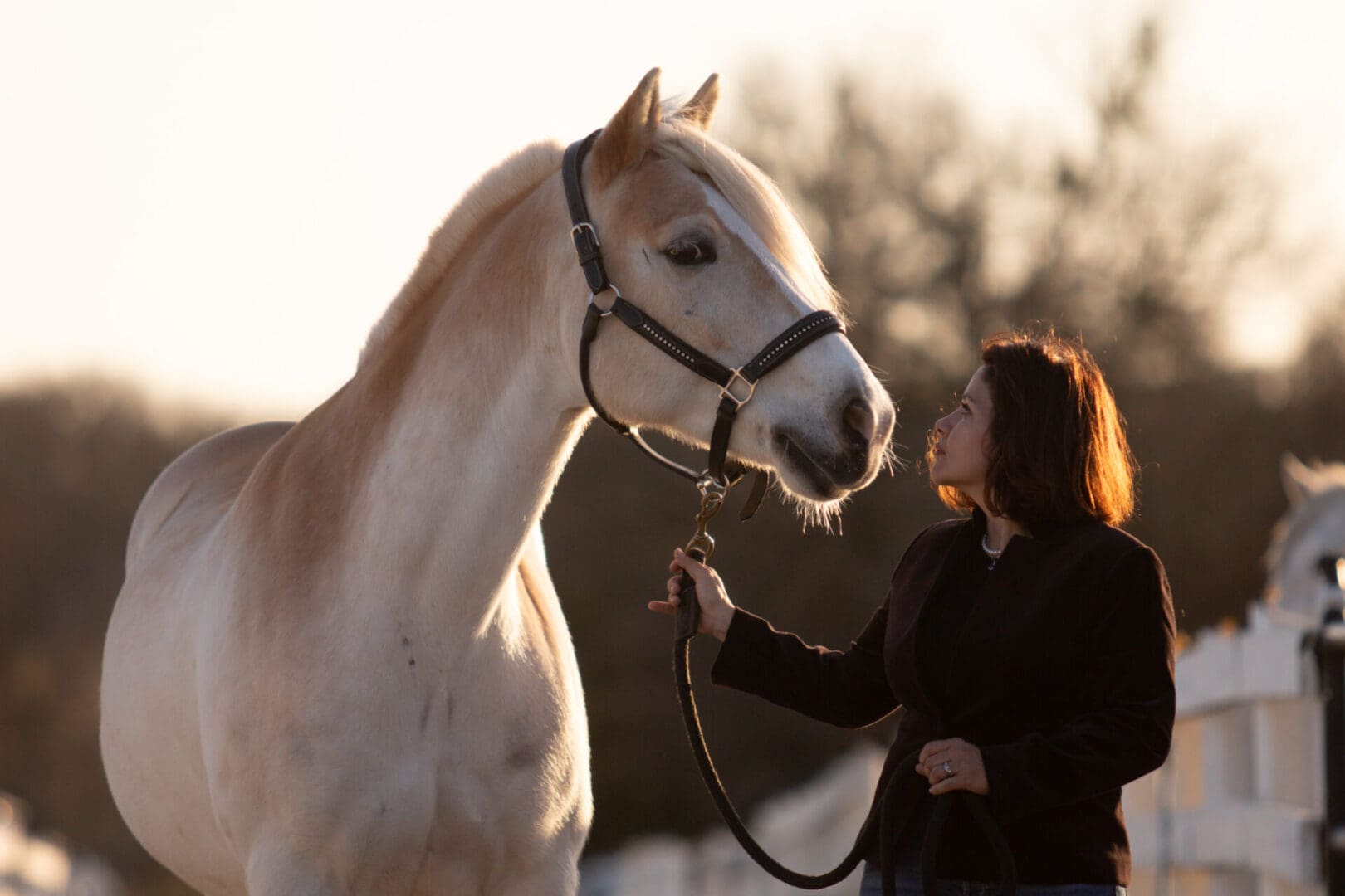 A woman is petting the face of a horse.