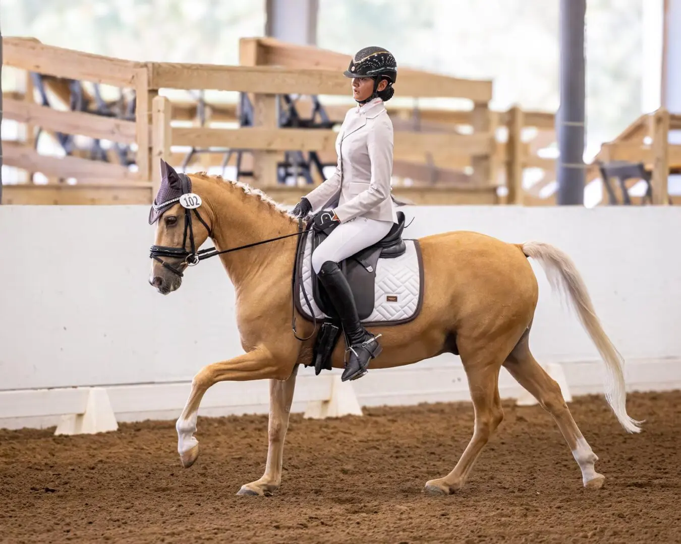 A person riding on the back of a horse.