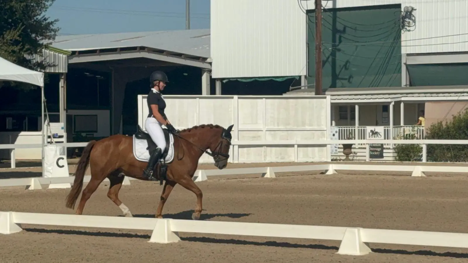 A person riding on the back of a horse.