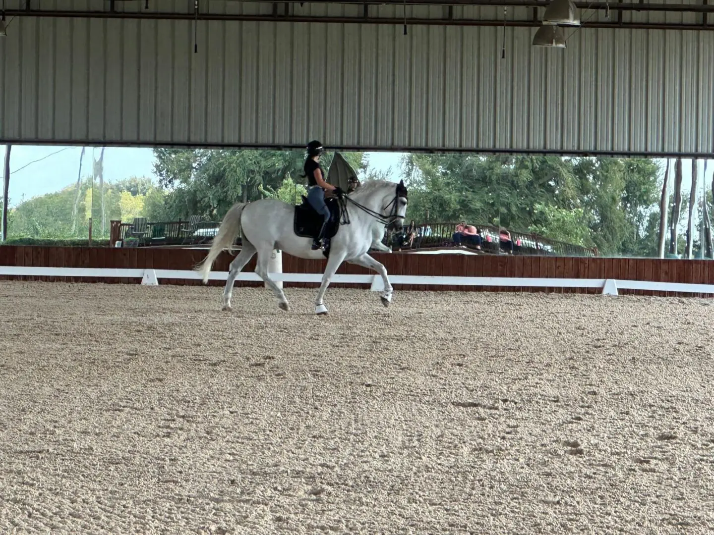 A person riding on the back of a white horse.