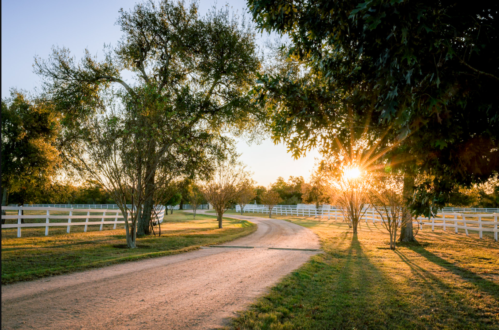 A road with trees and sun shining through the trees.