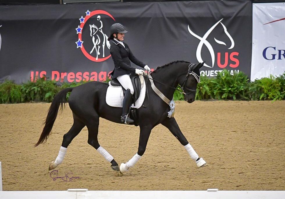FEI dressage training in Austin TX at White Fences