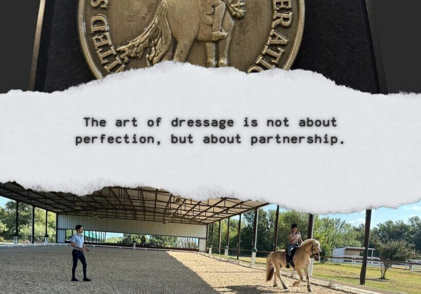 Equestrian Lessons