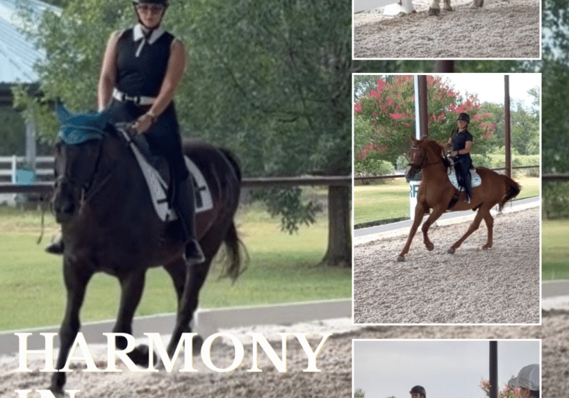 Harmony in Motion