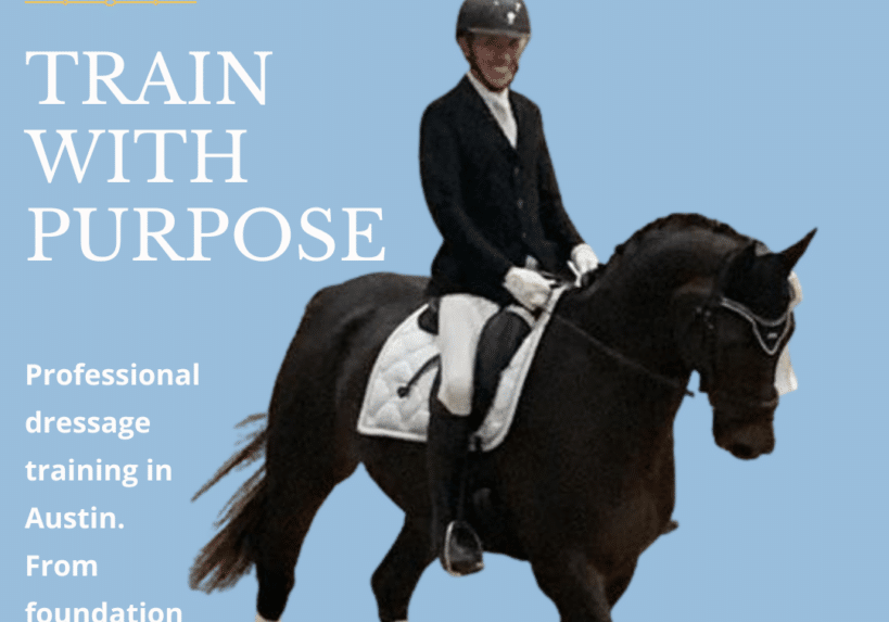 Is Dressage Training Worth It for Your Horse?